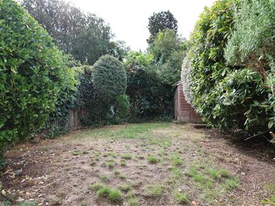 Picture 18